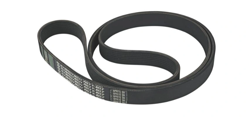 V-Ribbed Belt AC